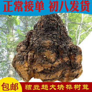 天然螺旋藻 藍(lán)色星球的生命瑰寶